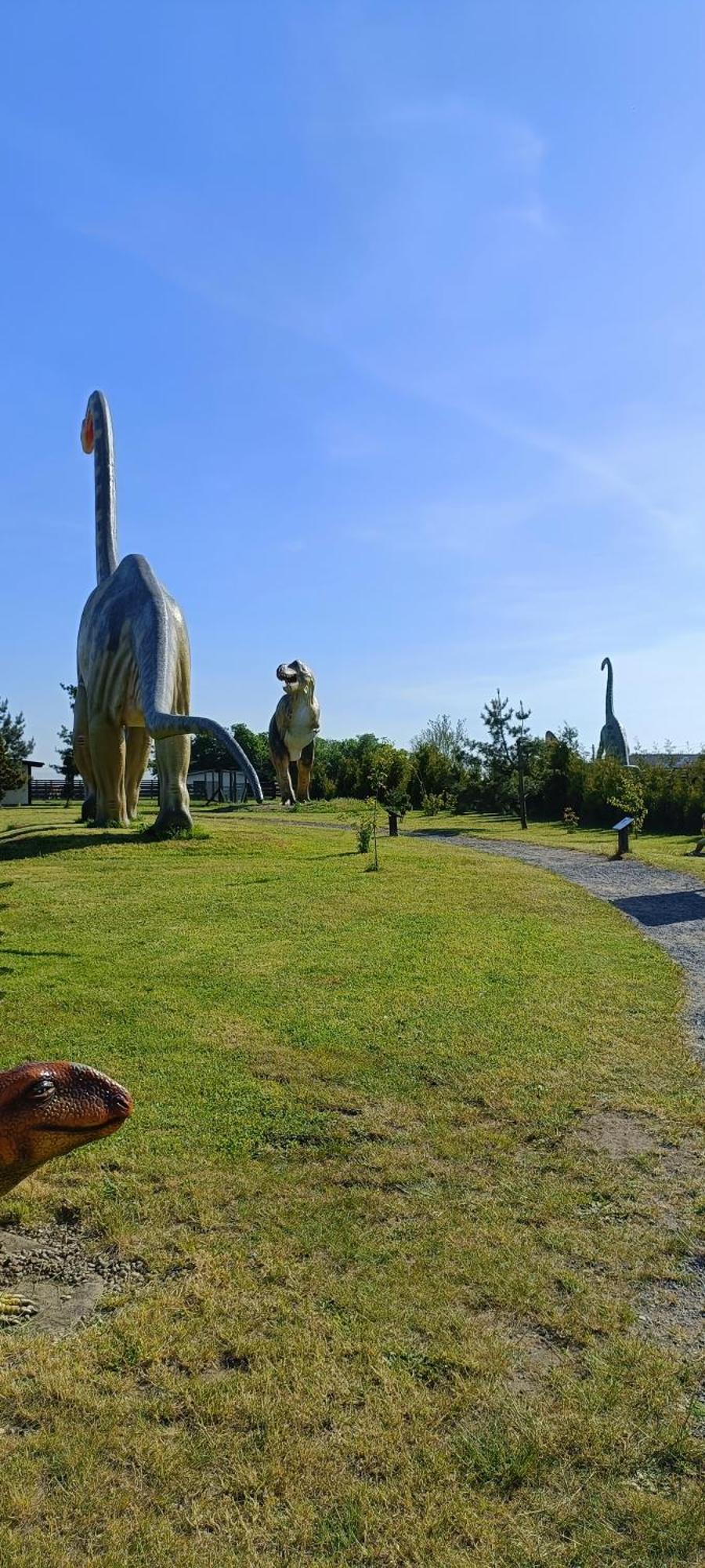 Na Zaciszu Villa Dziwnówek Dış mekan fotoğraf