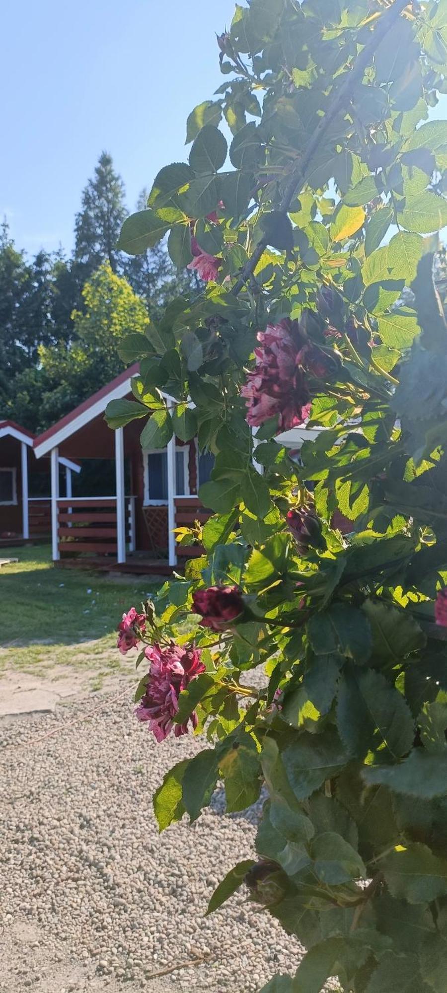 Na Zaciszu Villa Dziwnówek Dış mekan fotoğraf